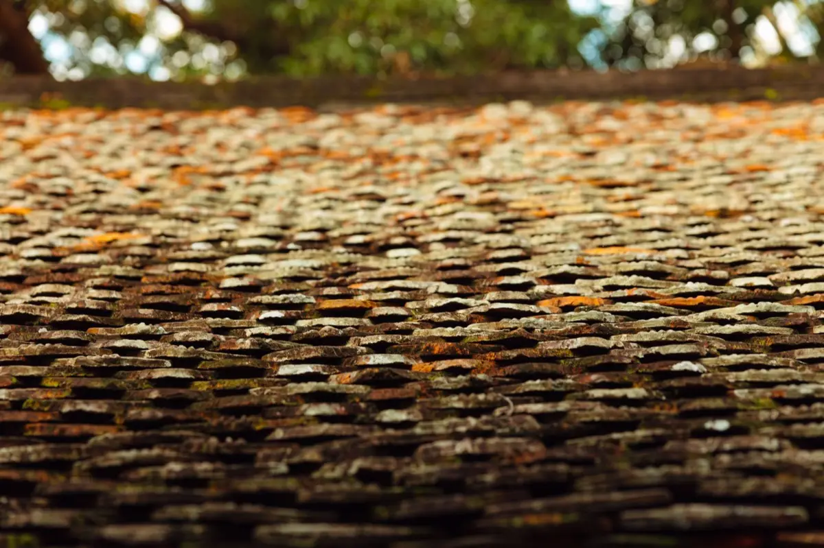 Roof Coatings and Sealing in Allen, TX